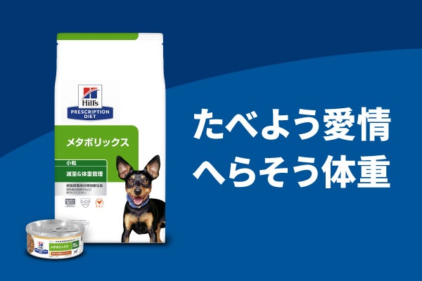 ヒルズ 処方ダイエット メタボリック ウェイト マネージメント ドッグフードのバッグがキッチンに。ペットの肥満をなくすためにご参加ください。ツールを取得します。